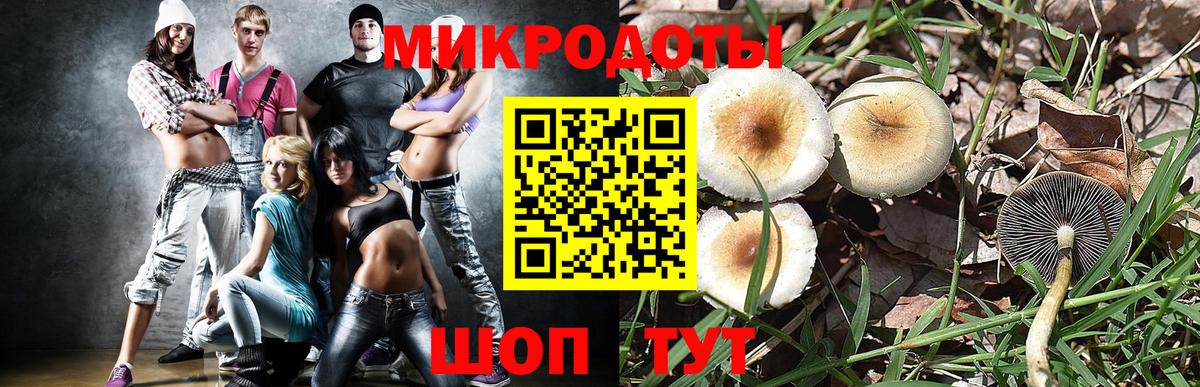 Псилоцибиновые грибы мухоморы Ахтубинск