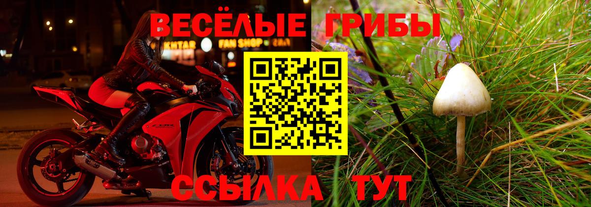 Галлюциногенные грибы ЛСД  Вход с VPN  Ахтубинск 